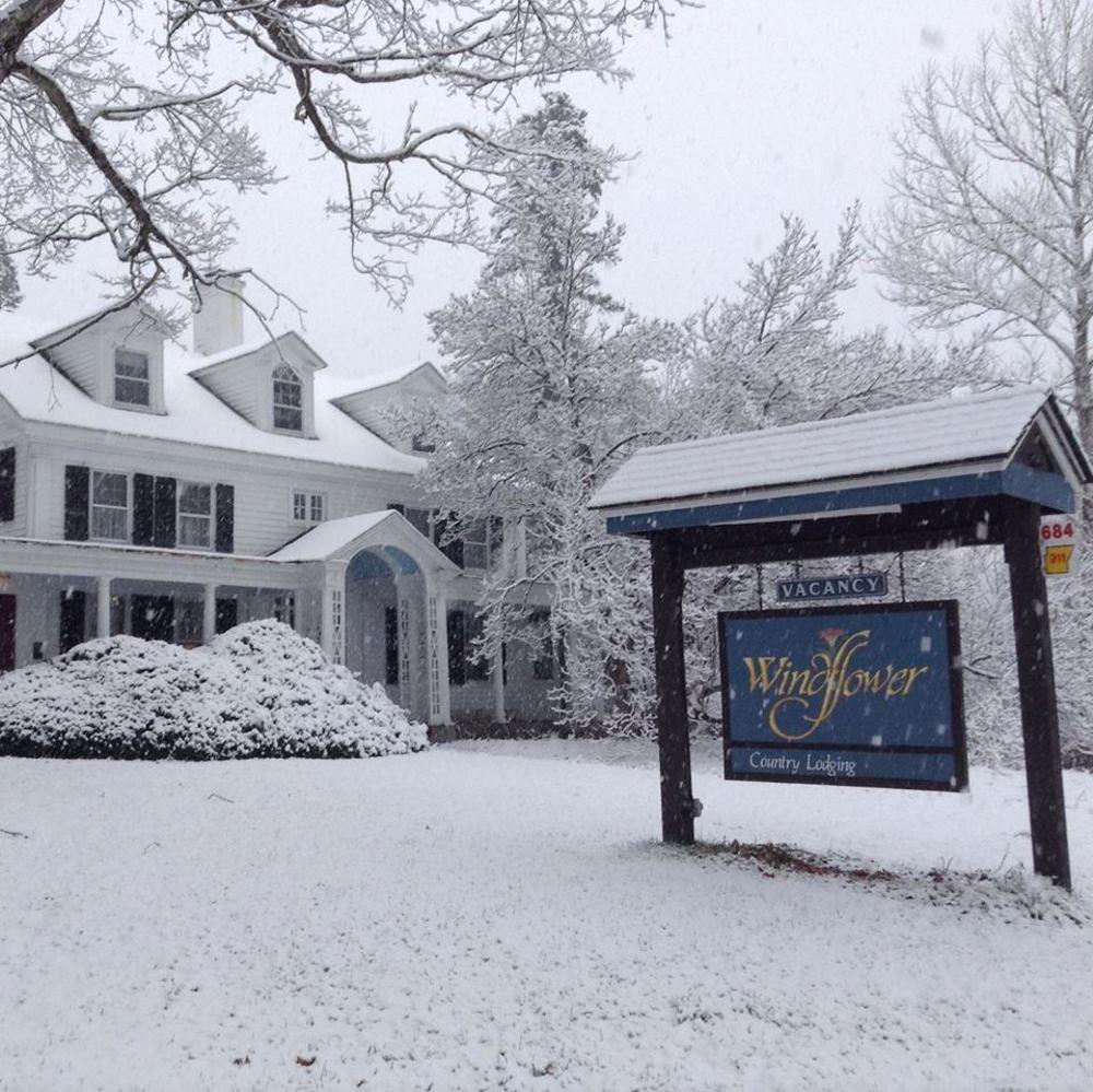 Windflower Inn Great Barrington Exterior foto
